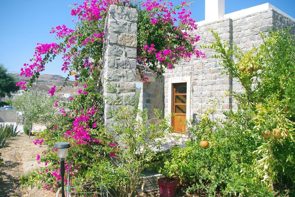 Villa Patmos Netia سكالا المظهر الخارجي الصورة