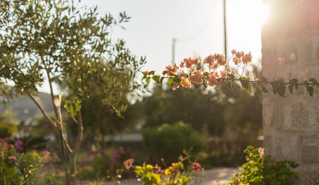 Villa Patmos Netia سكالا المظهر الخارجي الصورة