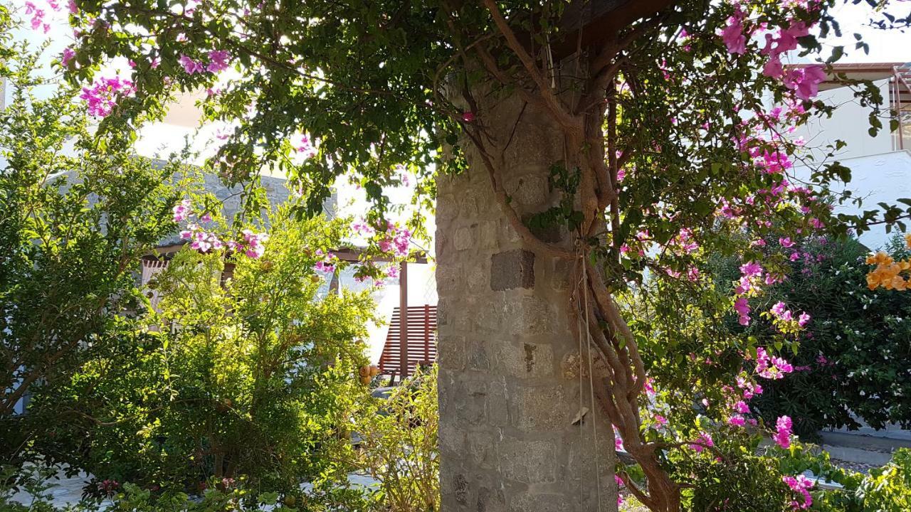 Villa Patmos Netia سكالا المظهر الخارجي الصورة